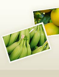 Fruit Ripening Agents