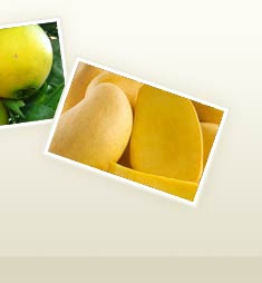 Fruit Ripening Solution